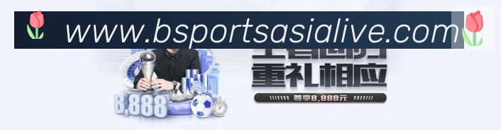 未来规划