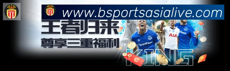 Bsports官网荣誉
