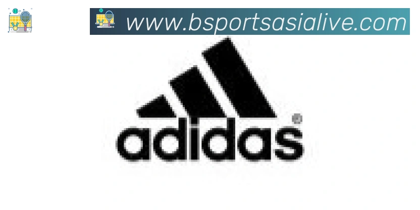 Bsports官网合作伙伴