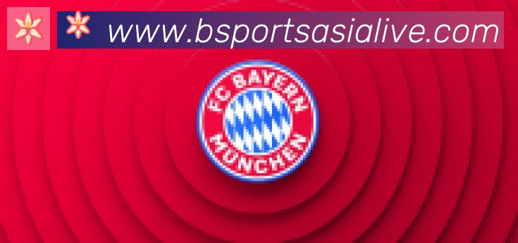 Bsports官网合作伙伴